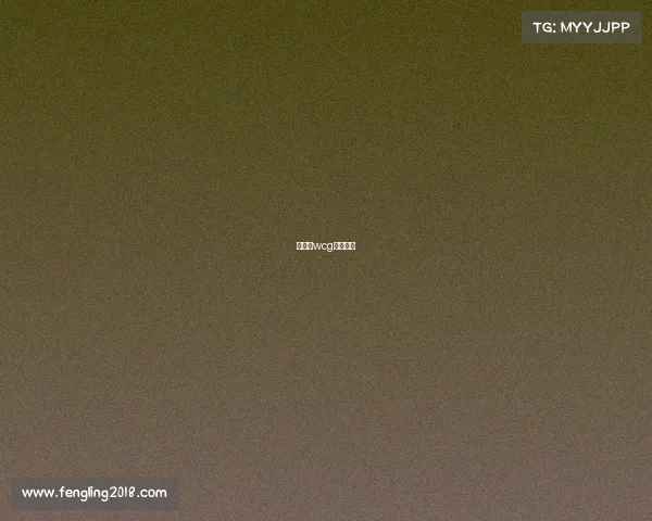 电竞赛wcg比赛项目